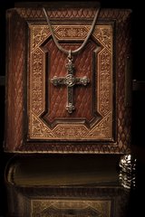 Gallery #6